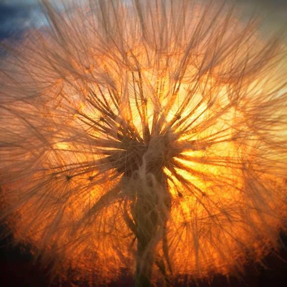 Meet your Posher, Kerri - Picture 1 of 1